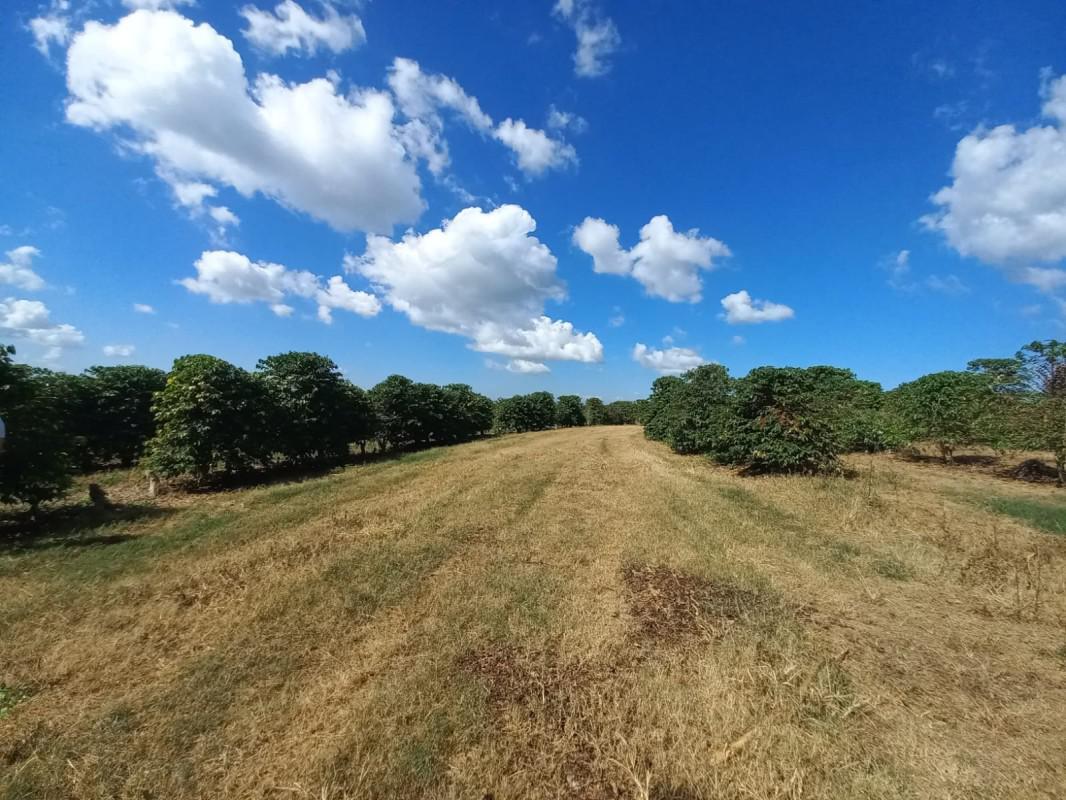 Fazenda, Zona Rural, 5 Quartos, 0 Vaga, 1 Suíte
