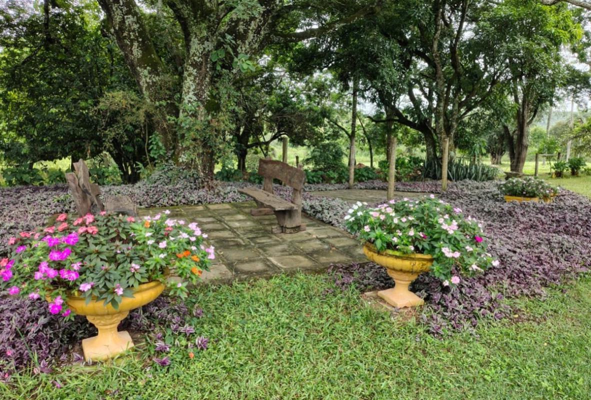 Fazenda, Zona Rural, 5 Quartos, 0 Vaga