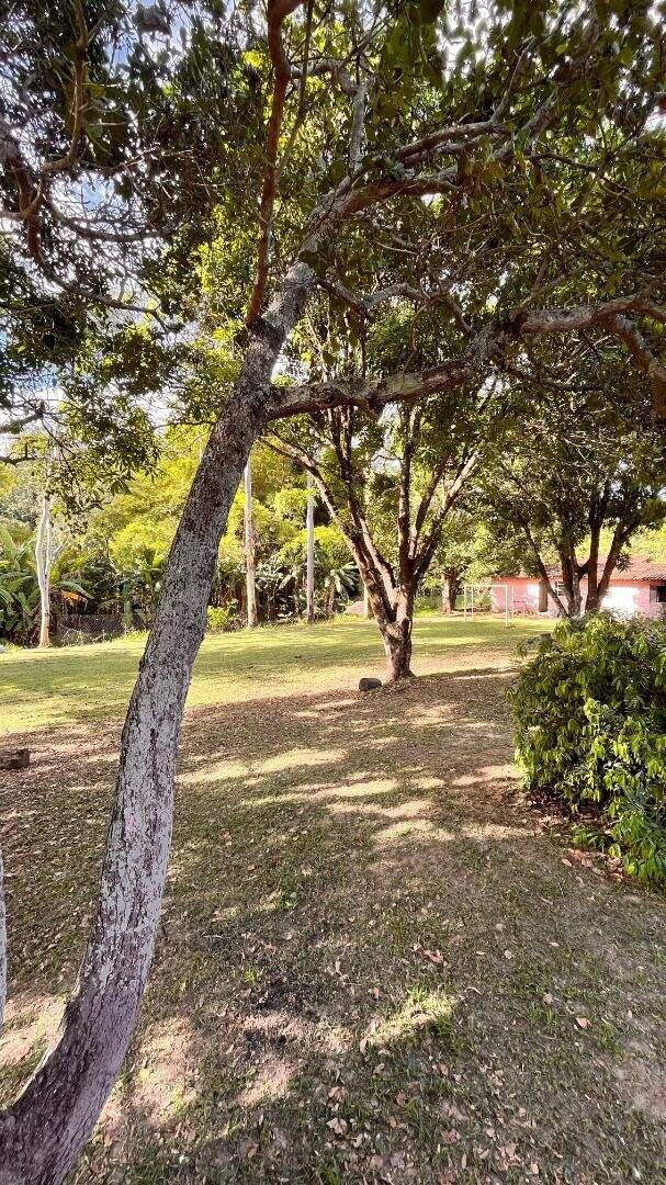 Fazenda, Bonanza, 4 Quartos, 13 Vagas, 1 Suíte
