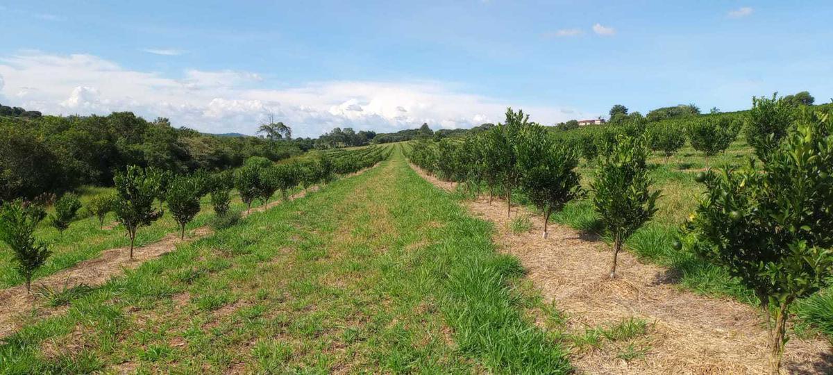 Fazenda, Zona Rural, 3 Quartos, 0 Vaga