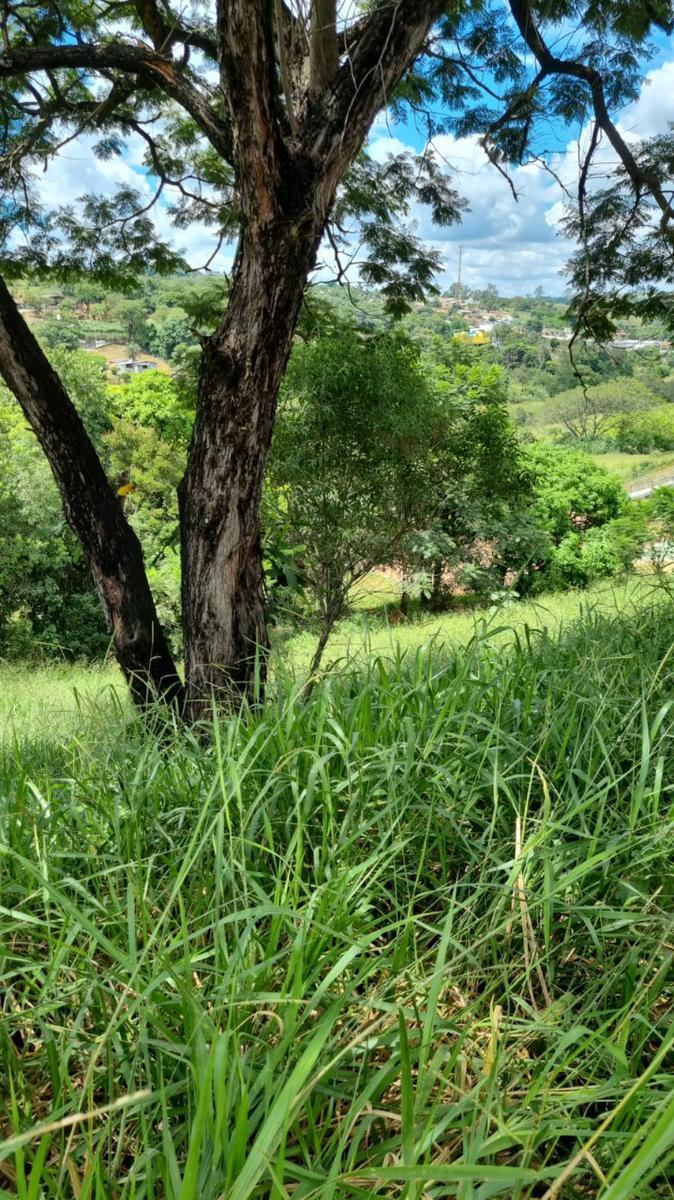 Lote, Centro, 0 Quarto, 0 Vaga