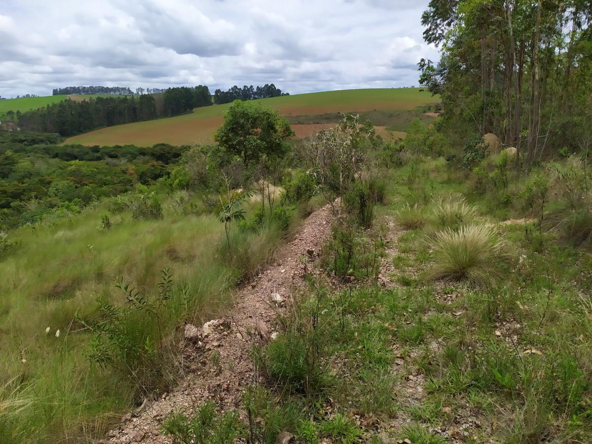 Fazenda, Centro, 1 Quarto, 0 Vaga