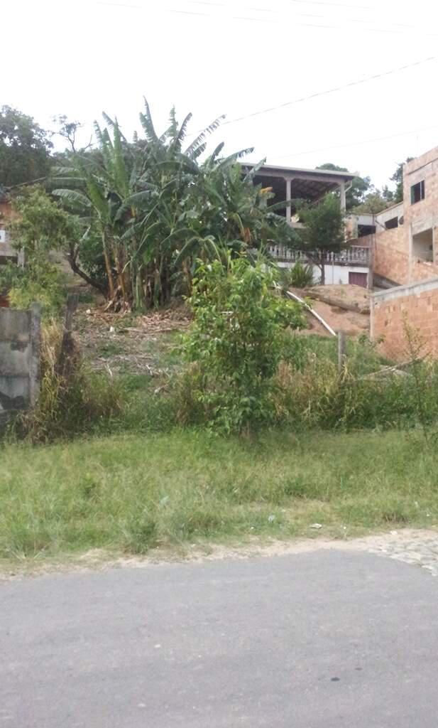 Lote, Tropical, 0 Quarto, 0 Vaga