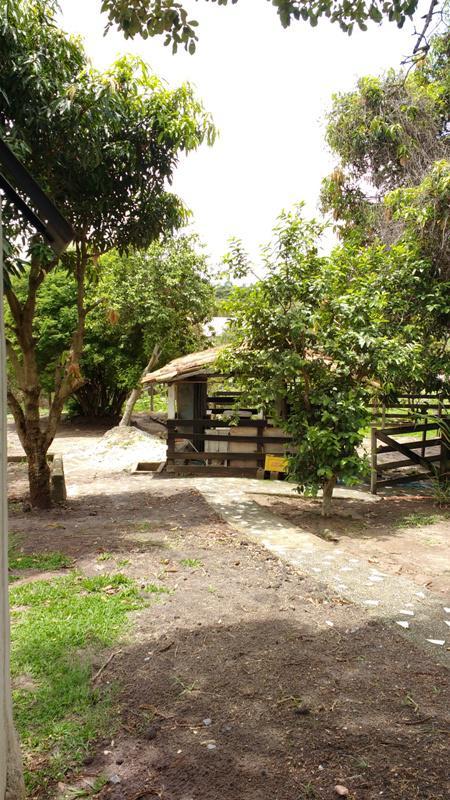Fazenda, Melo Viana, 6 Quartos, 10 Vagas, 1 Suíte