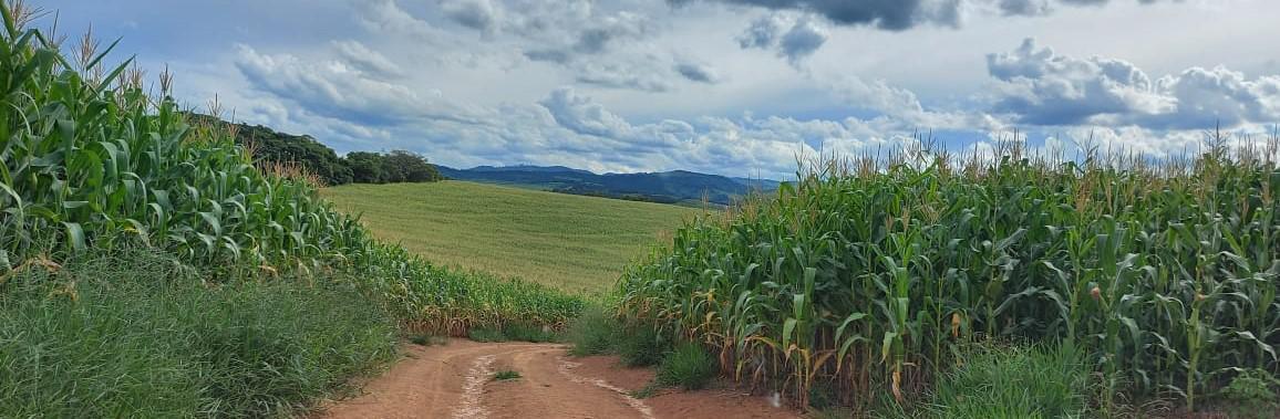 Fazenda, Zona Rural, 2 Quartos, 0 Vaga