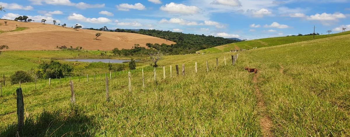 Fazenda, Centro, 4 Quartos, 2 Vagas, 1 Suíte
