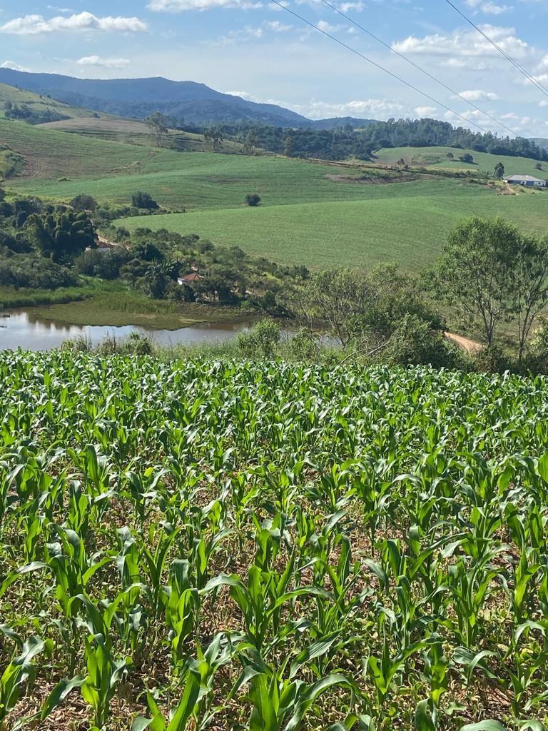 Fazenda, Centro, 1 Quarto, 1 Vaga