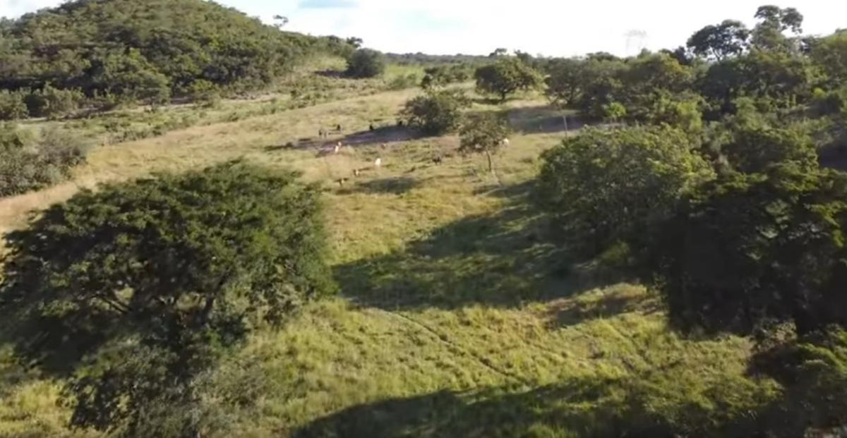 Fazenda, Centro, 4 Quartos, 0 Vaga