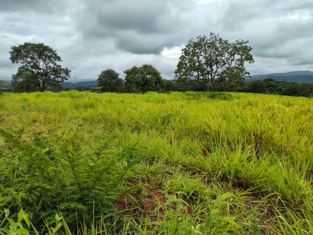 Fazenda, Zona Rural, 5 Quartos, 0 Vaga