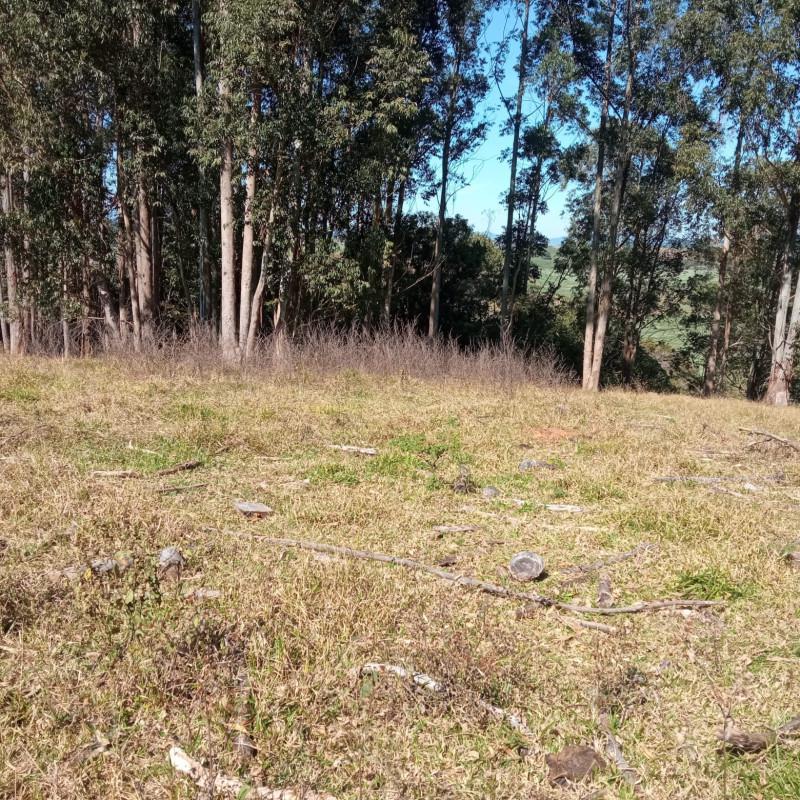 Fazenda, Zona Rural, 0 Quarto, 0 Vaga