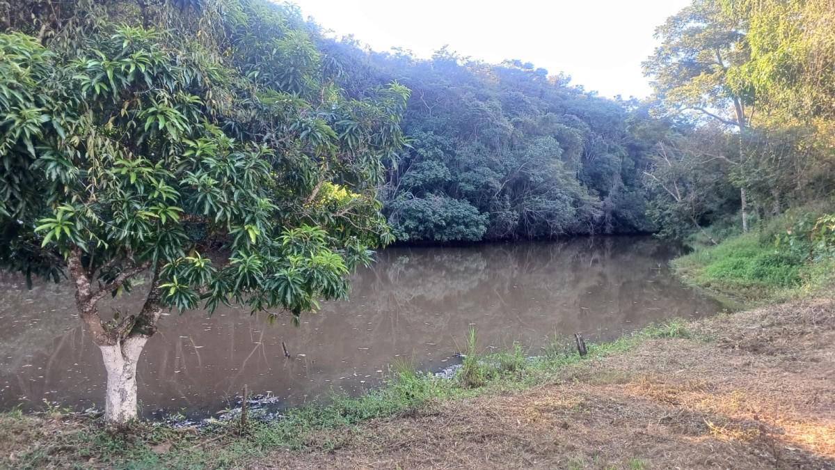 Fazenda, Zona Rural, 0 Quarto, 0 Vaga