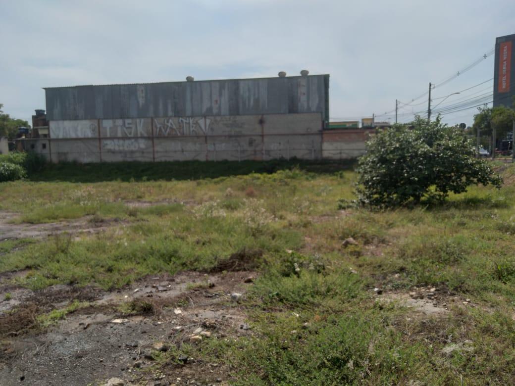 Lote, Filadélfia, 0 Quarto, 0 Vaga