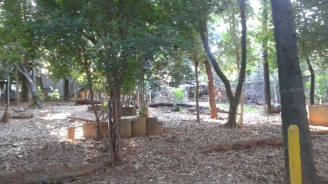 Lote, Bandeirantes (pampulha)