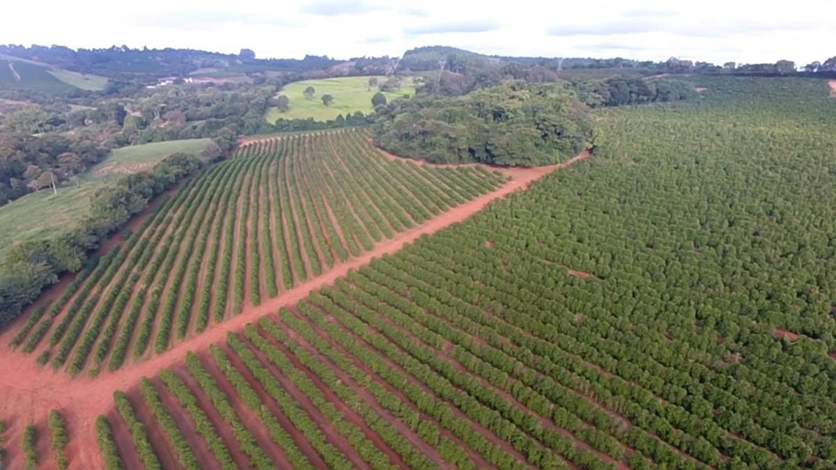 Fazenda, Zona Rural, 0 Quarto, 0 Vaga