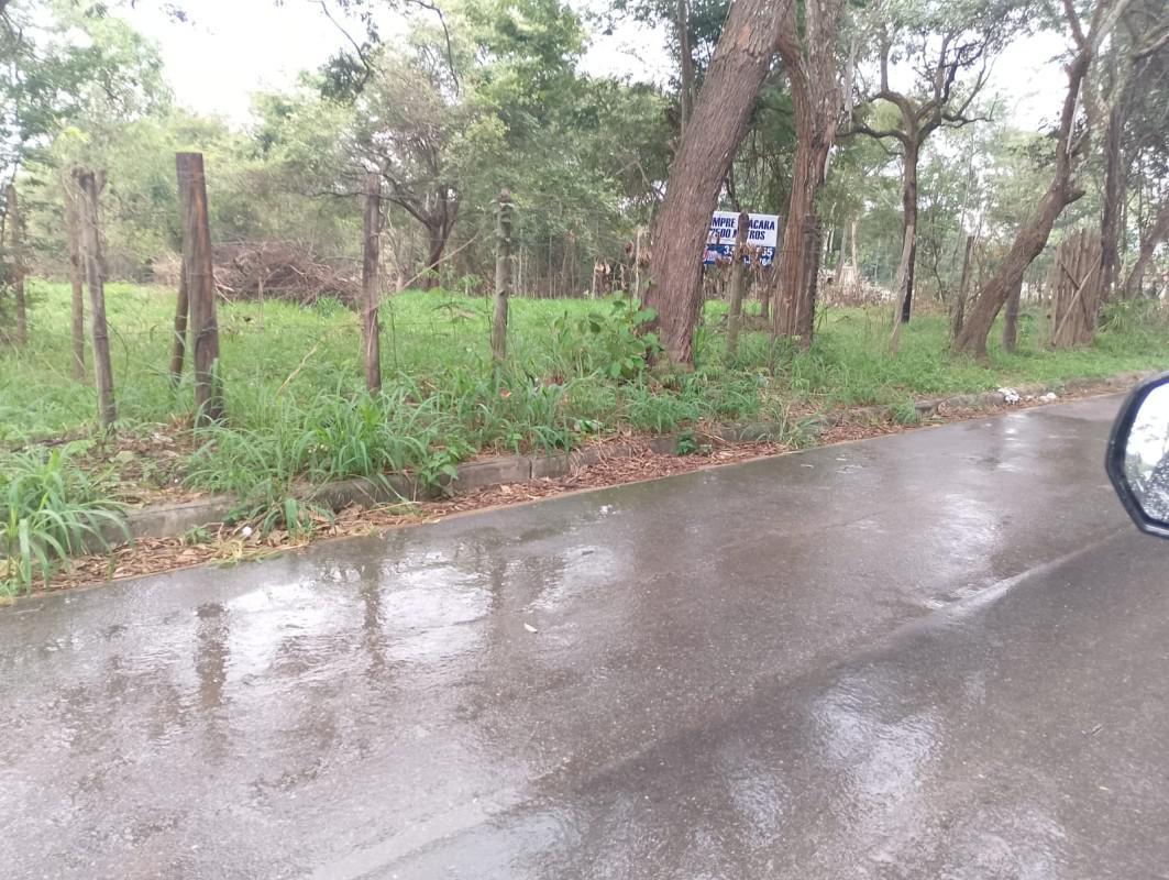 Fazenda, Vale Verde, 0 Quarto, 0 Vaga