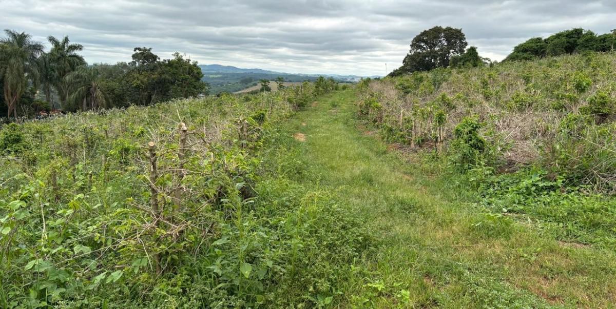 Fazenda, Zona Rural, 0 Quarto, 0 Vaga