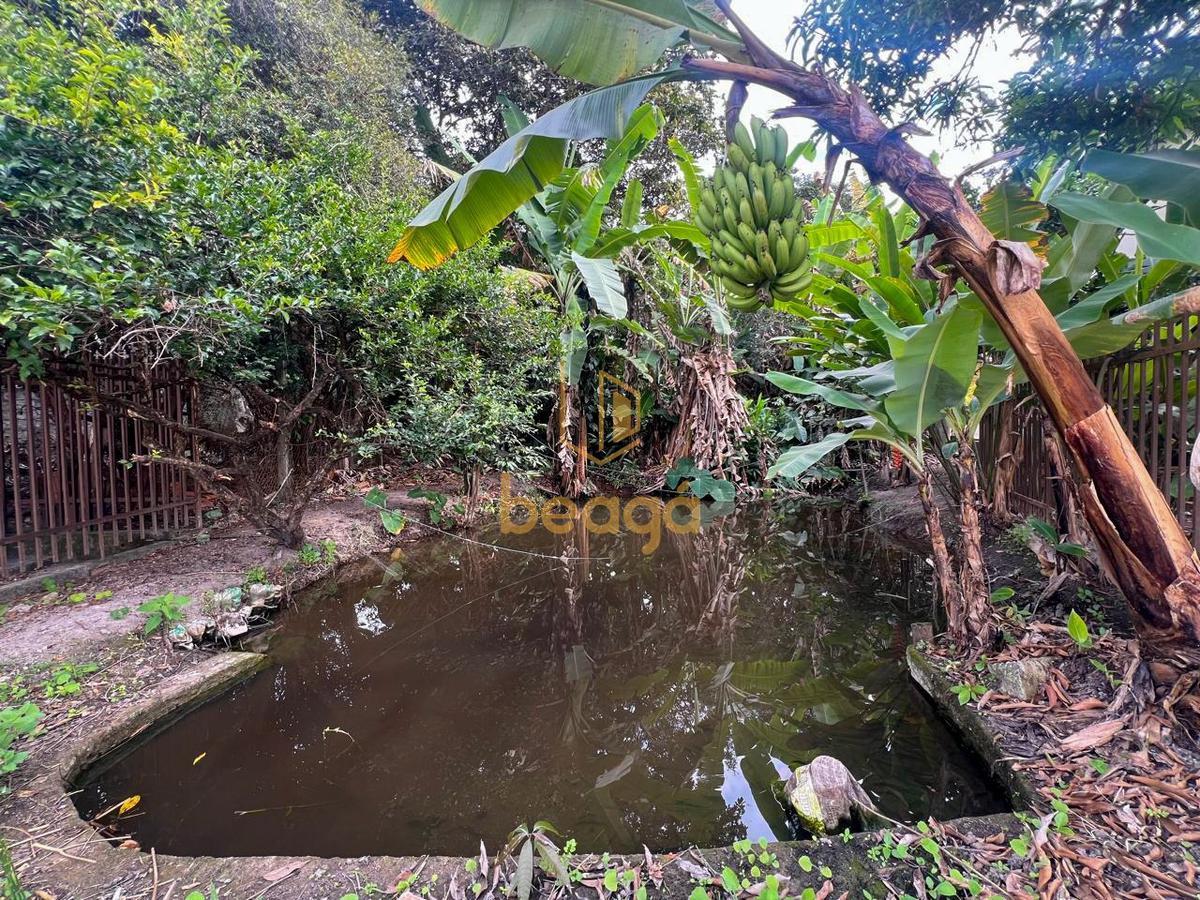 Fazenda, Chácara Novo Horizonte, 3 Quartos, 2 Vagas, 1 Suíte