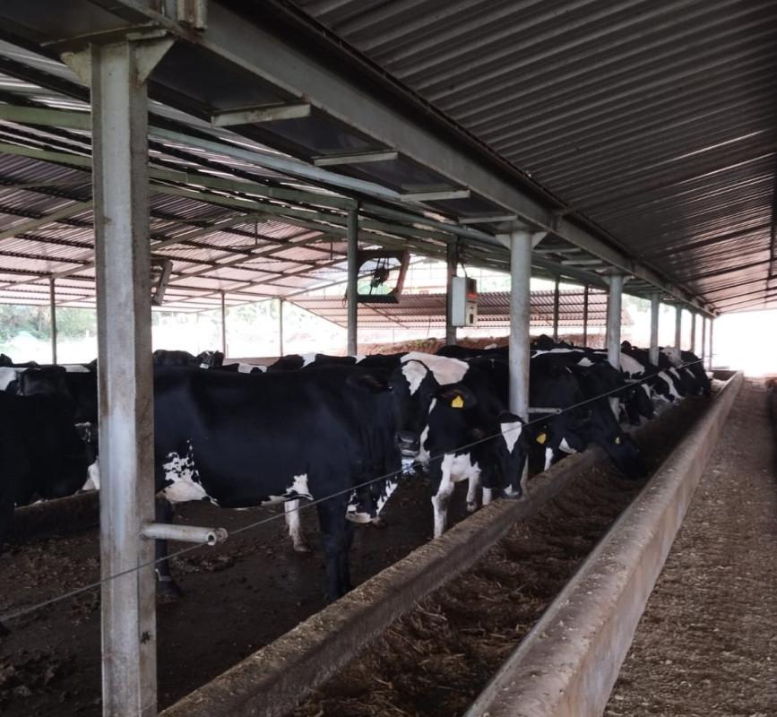 Fazenda, Área Rural de Pará de Minas, 0 Quarto, 0 Vaga