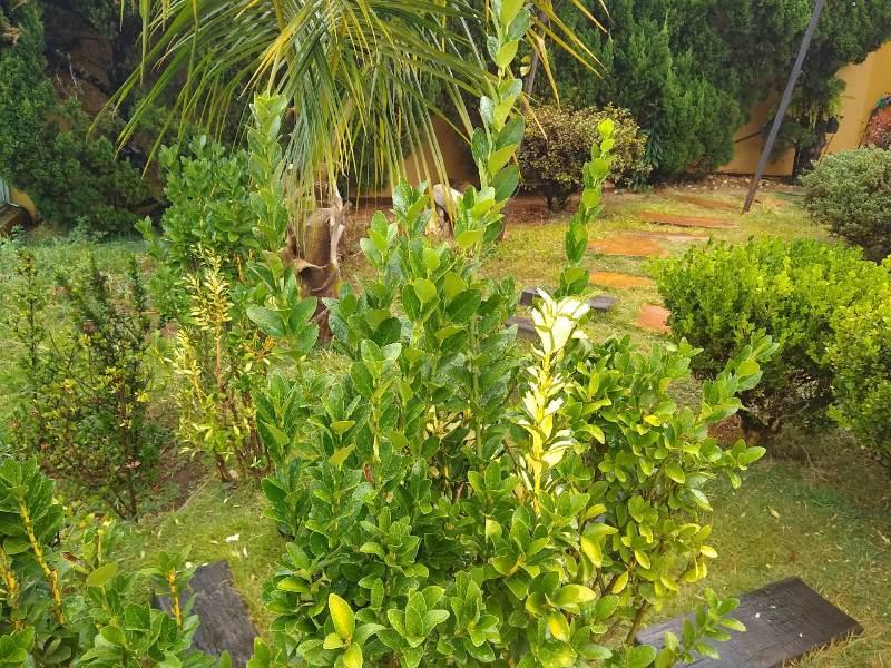 Casa, Alvorada, 6 Quartos, 3 Vagas, 2 Suítes