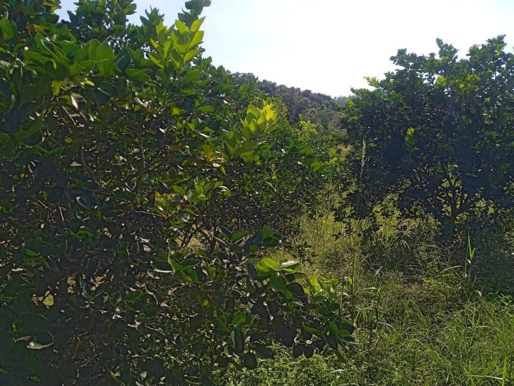 Fazenda, Zona Rural, 0 Quarto, 0 Vaga