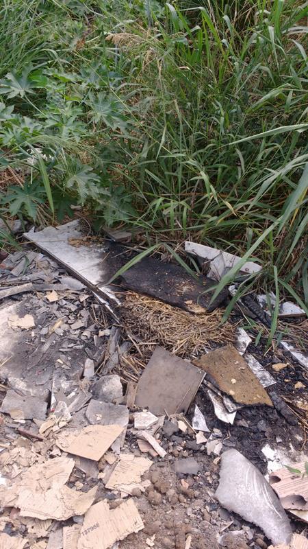 Lote, Betim Industrial, 0 Quarto, 0 Vaga