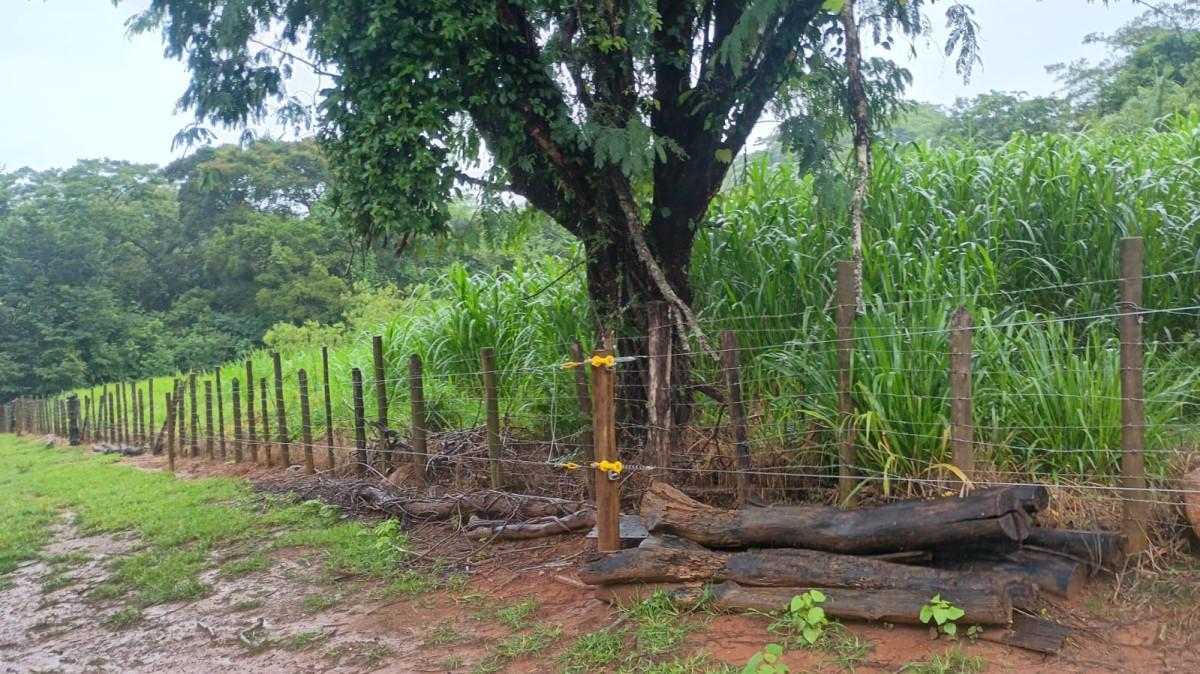 Fazenda, Centro, 3 Quartos, 100 Vagas