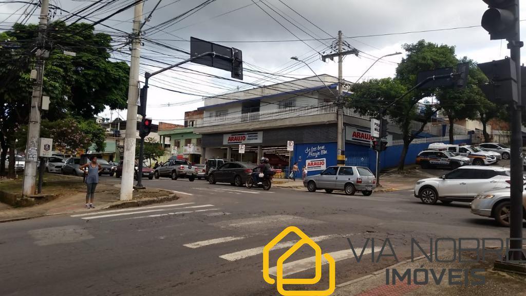 Lote, Palmeiras