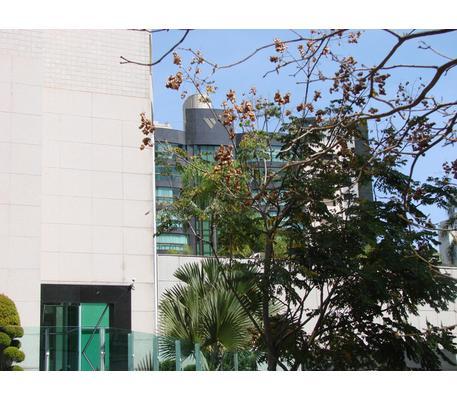 Apartamento, Belvedere, 4 Quartos, 4 Vagas, 4 Suítes