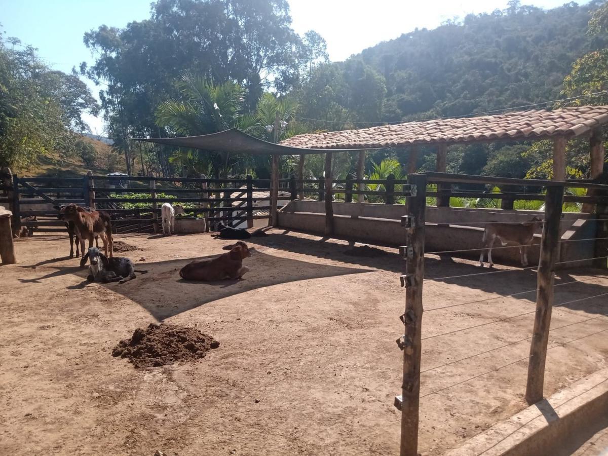 Fazenda, Centro, 3 Quartos, 0 Vaga, 2 Suítes