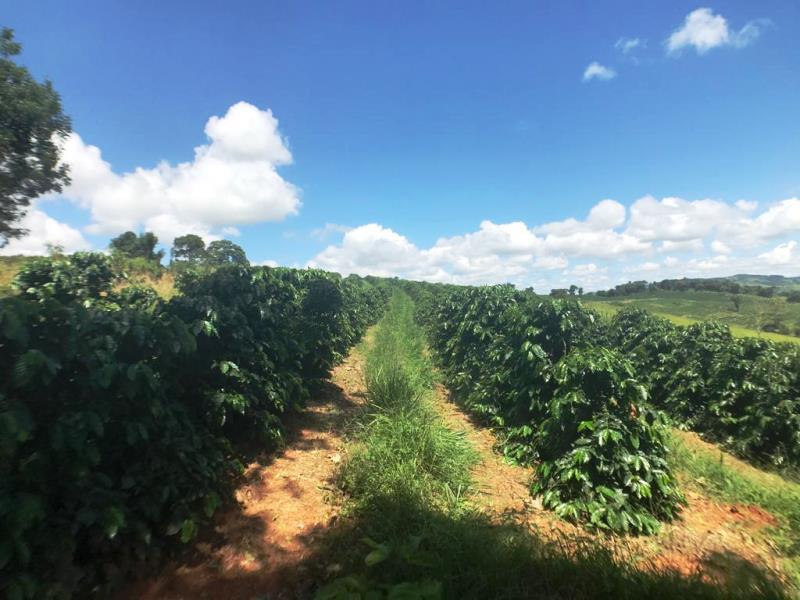 Fazenda, Zona Rural, 0 Quarto, 0 Vaga