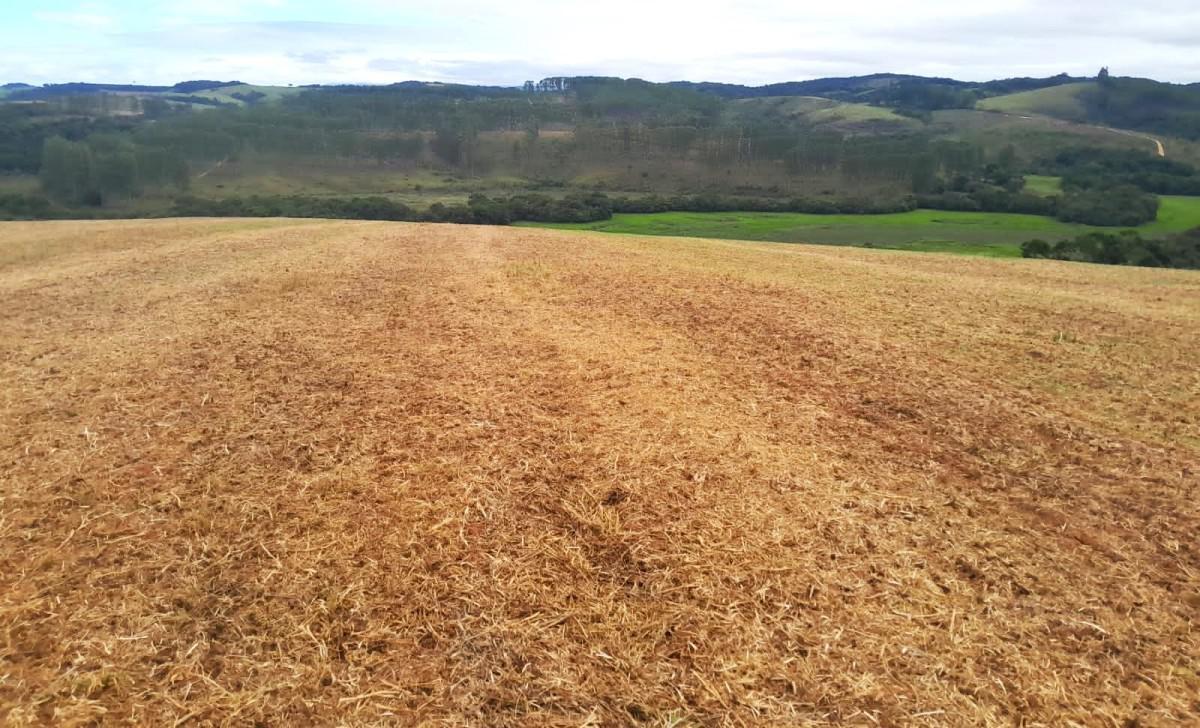 Fazenda, Zona Rural, 0 Quarto, 0 Vaga