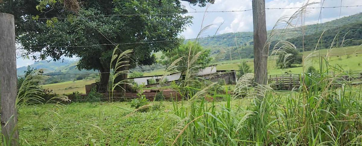 Lote, Zona Rural, 1 Quarto, 0 Vaga
