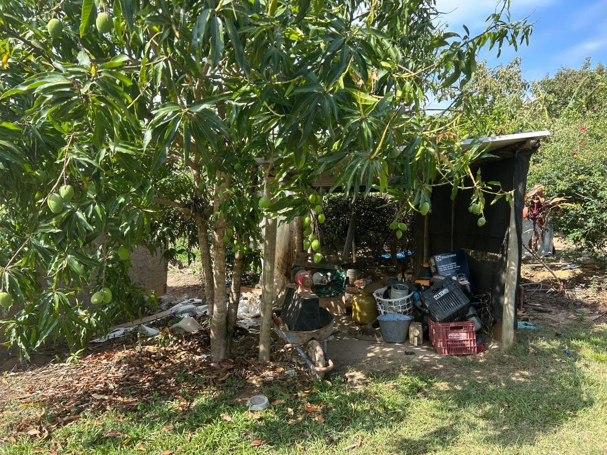 Fazenda, Centro, 2 Quartos, 5 Vagas