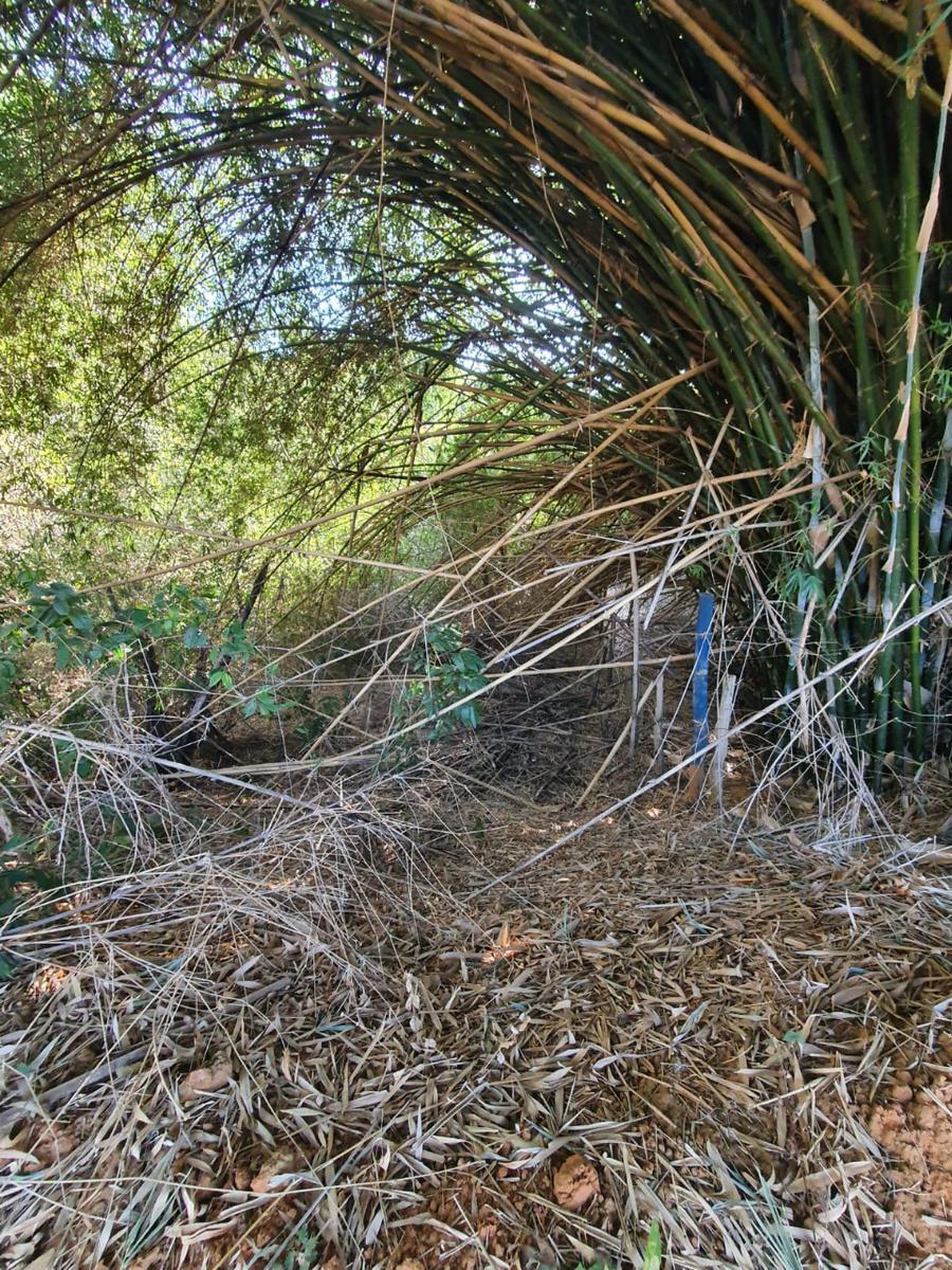 Fazenda, Centro, 1 Quarto, 0 Vaga