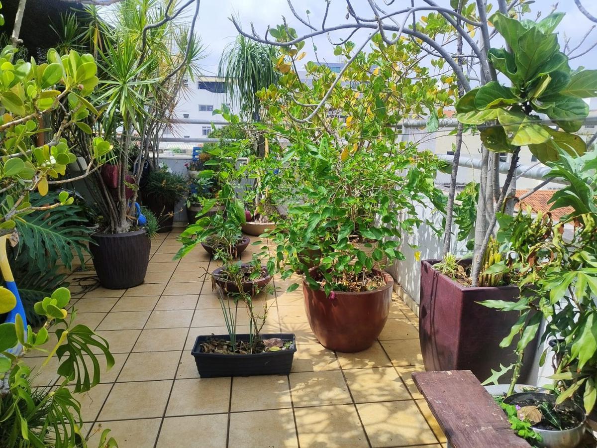 Cobertura, Vila Clóris, 3 Quartos, 2 Vagas, 1 Suíte