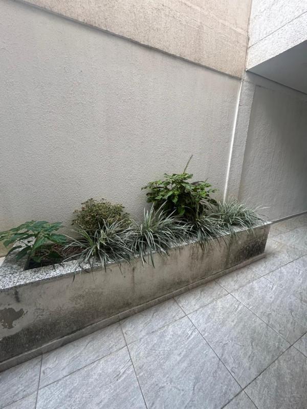 Apartamento, Milionários, 2 Quartos, 1 Vaga