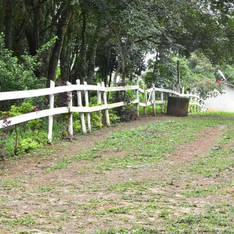 Fazenda, Centro, 3 Quartos, 1 Vaga, 1 Suíte