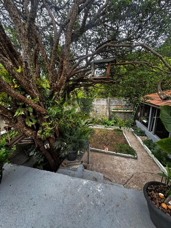 Casa, Centro, 3 Quartos, 3 Vagas, 1 Suíte