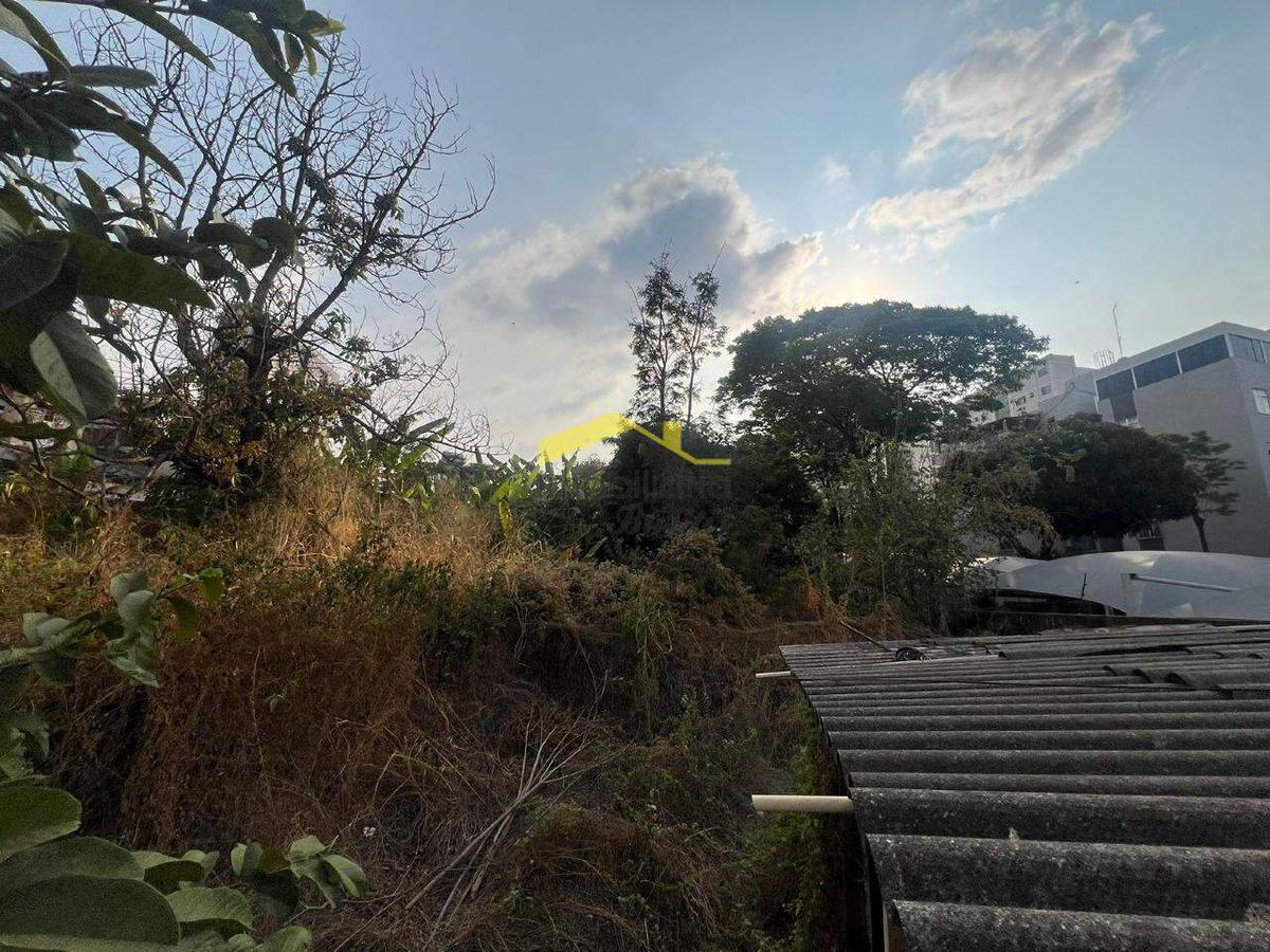Lote, Cinquentenário, 5 Vagas