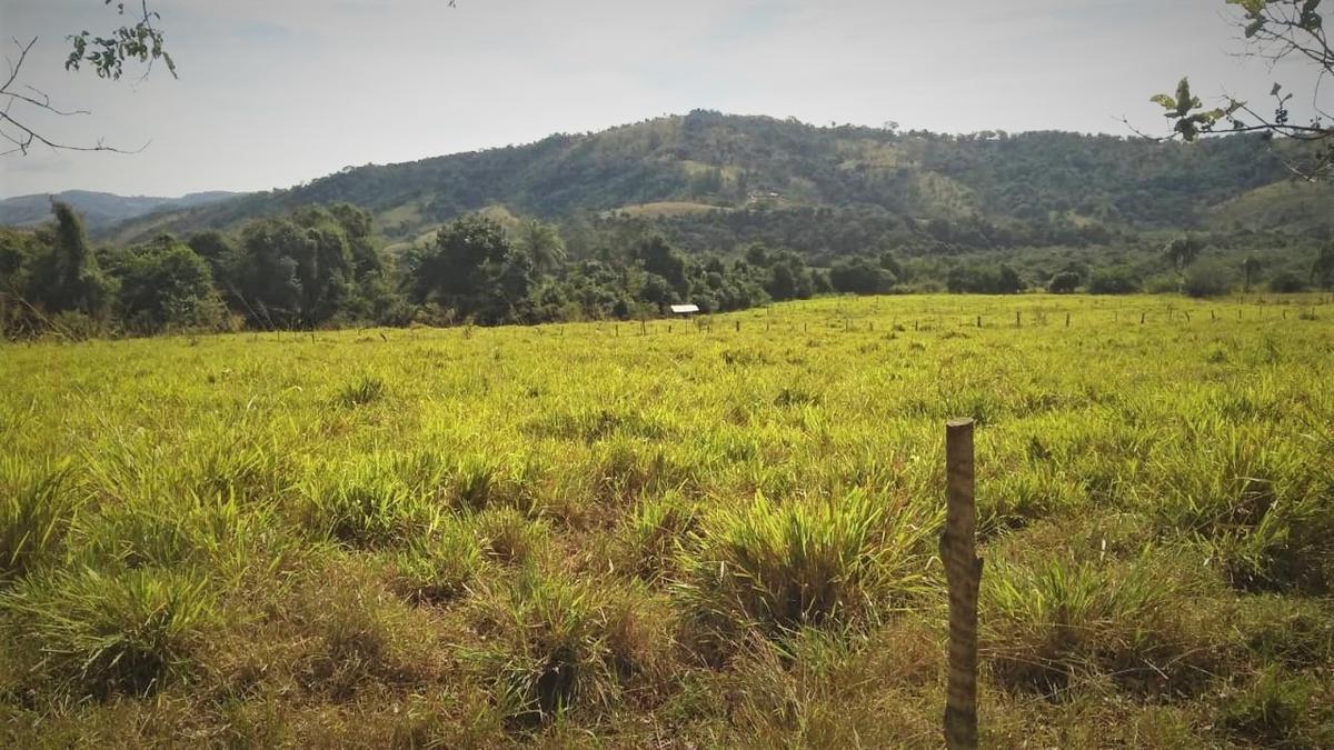 Fazenda, Centro, 4 Quartos, 2 Vagas