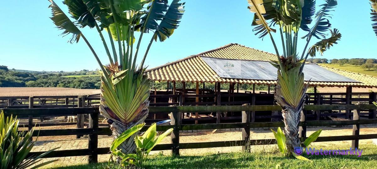 Fazenda, Centro, 5 Quartos, 2 Vagas