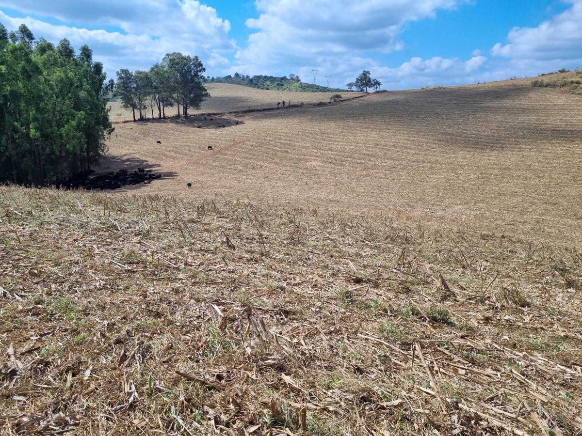 Fazenda, Zona Rural, 3 Quartos, 0 Vaga
