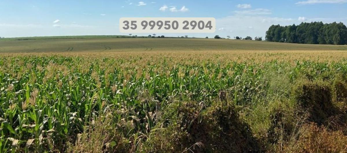 Fazenda, Zona Rural, 0 Quarto, 0 Vaga