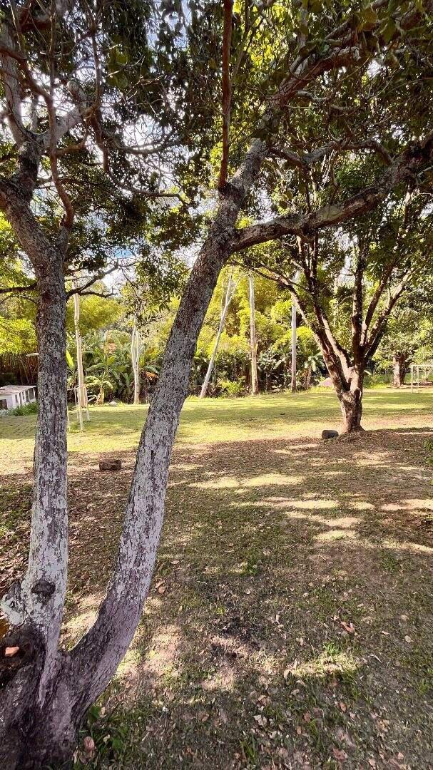Fazenda, Bonanza, 4 Quartos, 13 Vagas, 1 Suíte