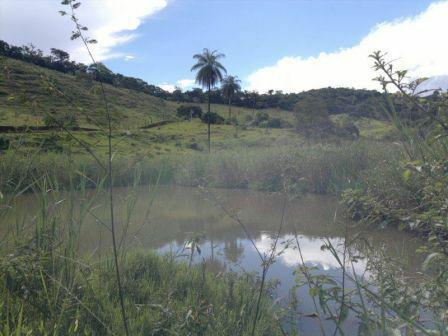 Fazenda, Centro, 3 Quartos, 0 Vaga