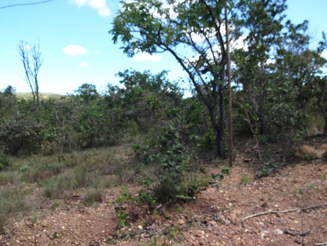 Fazenda, Zona Rural, 1 Quarto, 0 Vaga, 1 Suíte