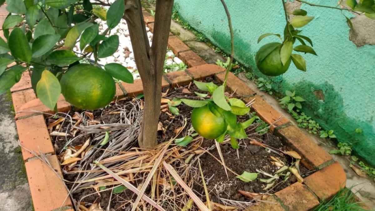 Casa, Tirol, 3 Quartos, 10 Vagas