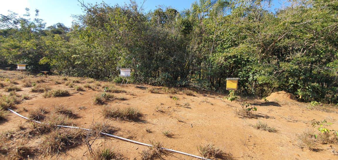 Lote, Zona Rural, 0 Quarto, 0 Vaga