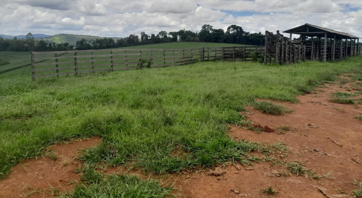 Fazenda, Zona Rural, 0 Quarto, 0 Vaga