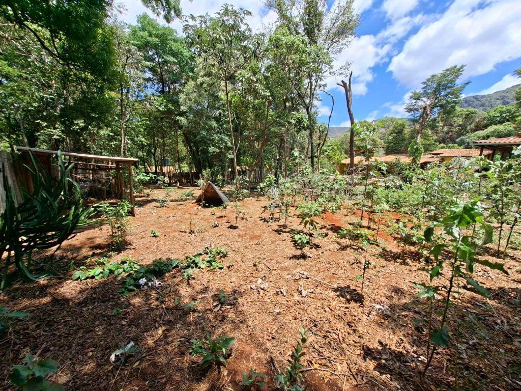 Lote, Casa Branca, 0 Quarto, 0 Vaga